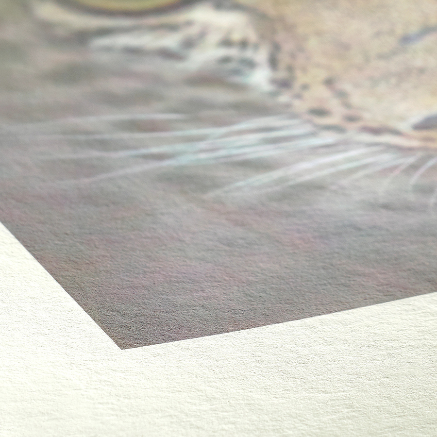 Texture papier Hahnemühle Bamboo