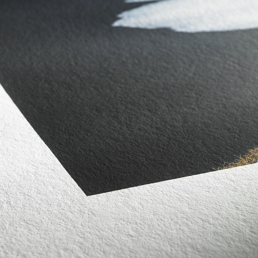 Texture Photo Rag Bright White